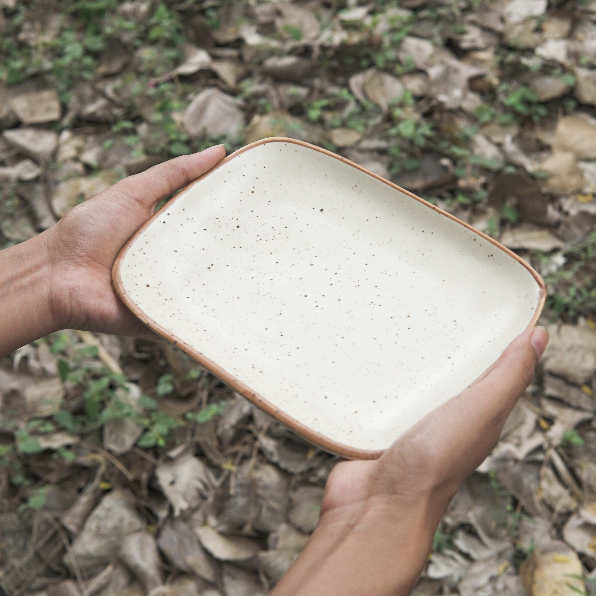 Classic Nut Tray Buy Stoneware Plates and Platters Online The Home
