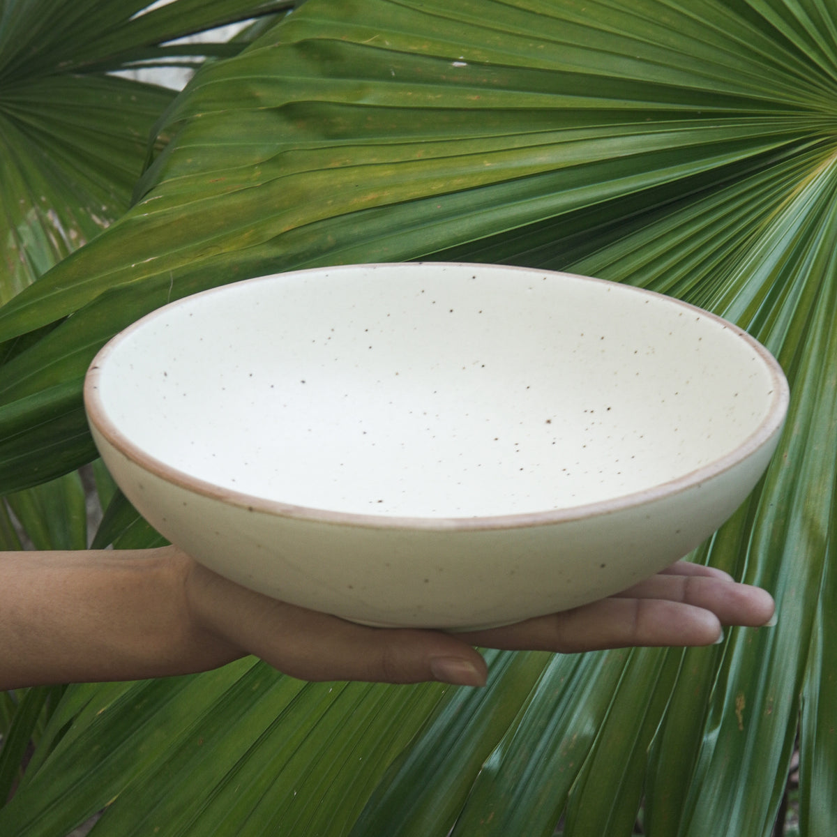 Shallow Dinner Bowl