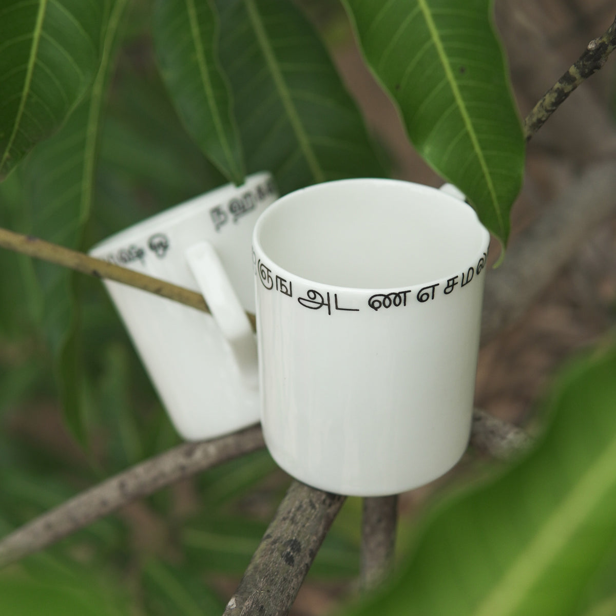 Small Coffee Mug - Set of 2 - Tamil Script Ceramics