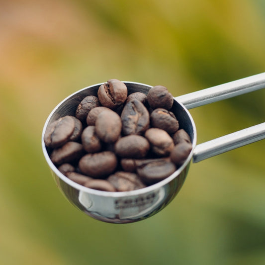 Coffee Scoop