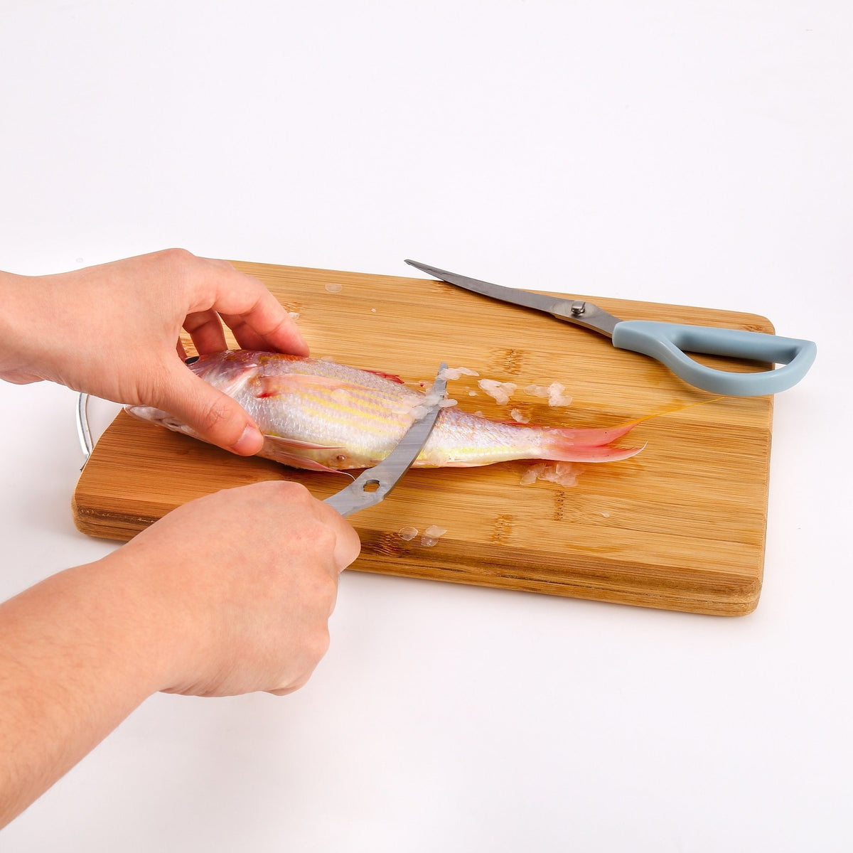 Seafood Scissors - Rena