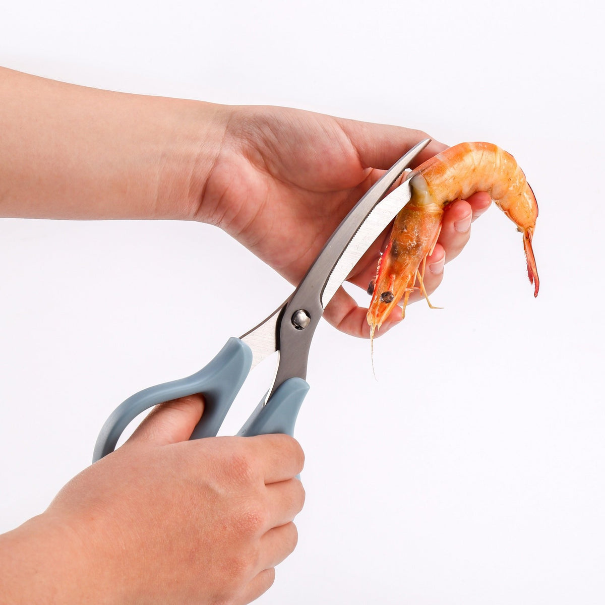 Seafood Scissors - Rena