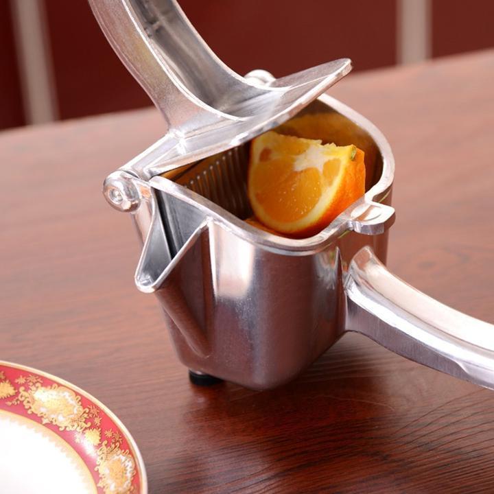 Vintage Hand Press Juicer